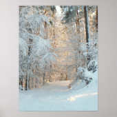 Winterstraße Poster (Vorne)
