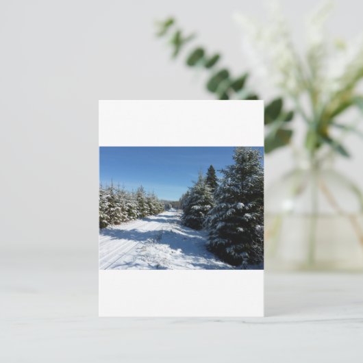 Winterstraße Postkarte (Stehend Vorderseite)