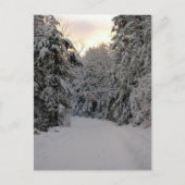 Winterstraße Postkarte (Vorderseite)