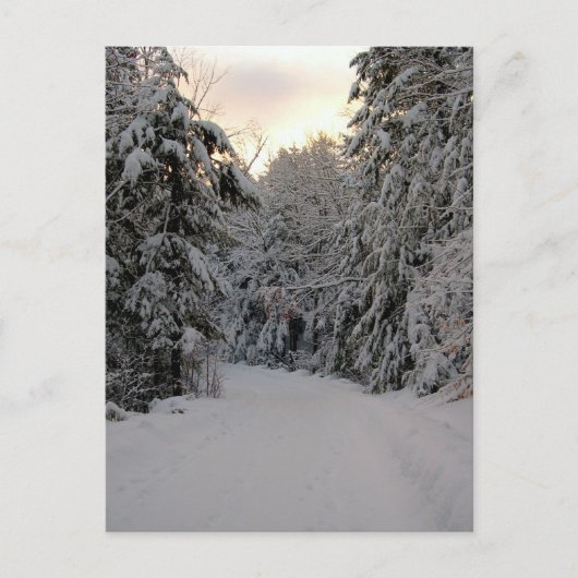 Winterstraße Postkarte (Vorderseite)