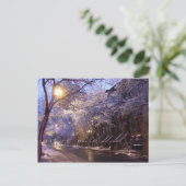 Winterstraße Postkarte (Stehend Vorderseite)