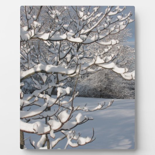 Wintersturm Fotoplatte (Vorderseite)