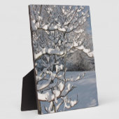 Wintersturm Fotoplatte (Seite)