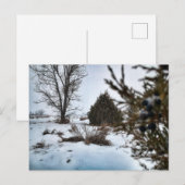 Wintersturm in North Dakota Postkarte (Vorne/Hinten)