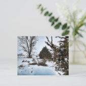 Wintersturm in North Dakota Postkarte (Stehend Vorderseite)