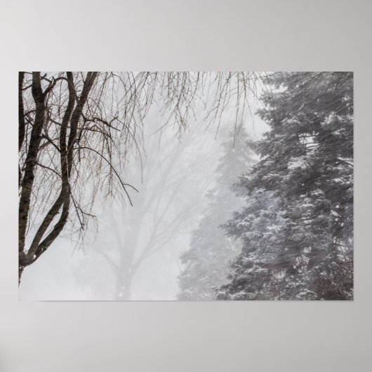 Wintersturm, Ohio. Poster (Vorne)