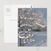 Wintersturm Postkarte (Vorne/Hinten)