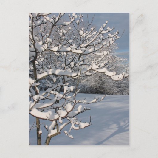 Wintersturm Postkarte (Vorderseite)