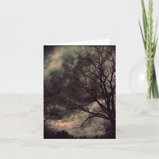 Wintersturmnotecard Karte (Vorderseite)