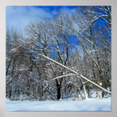 Wintersturmöl Poster (Vorne)