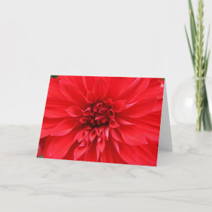 Wintersun-Gruß-Karte Karte