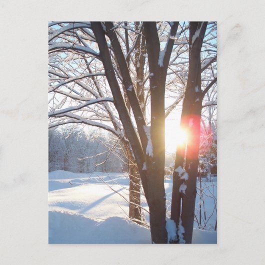 WINTERSUNRISE - Individuelles Design Postkarte (Vorderseite)