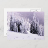 Winterszene Postkarte (Vorne/Hinten)