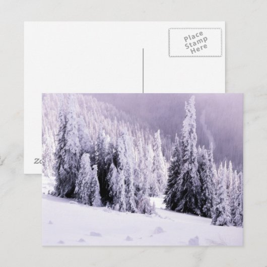 Winterszene Postkarte (Vorne/Hinten)