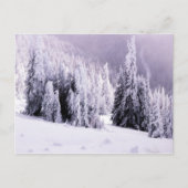 Winterszene Postkarte (Vorderseite)