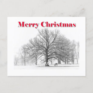 Winterszene Weihnachtskarte (Postkarte) Feiertagspostkarte