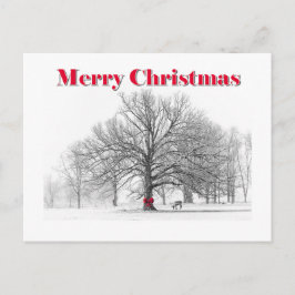 Winterszene Weihnachtskarte (Postkarte) Feiertagspostkarte