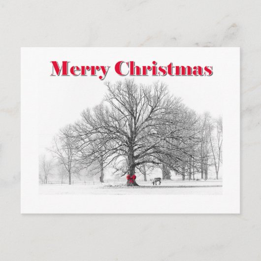 Winterszene Weihnachtskarte (Postkarte) Feiertagspostkarte (Vorderseite)