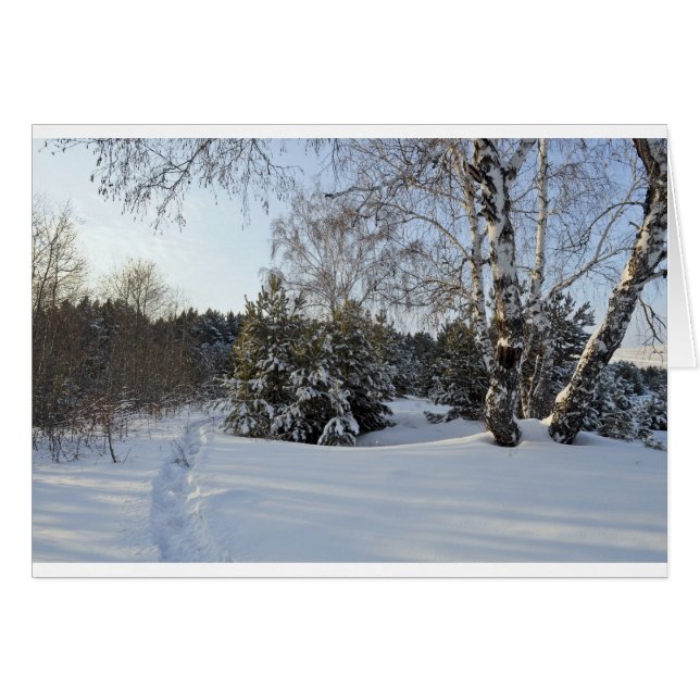 Wintertag (Vorderseite (Horizontal))