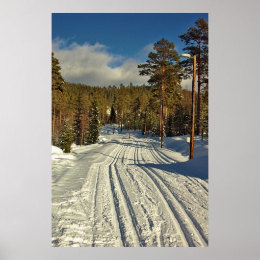 Wintertag in Schweden Poster (Vorne)