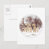 Wintertag Postkarte (Vorne/Hinten)