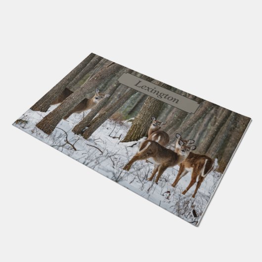 Wintertaube Fußmatte (Schrägansicht)