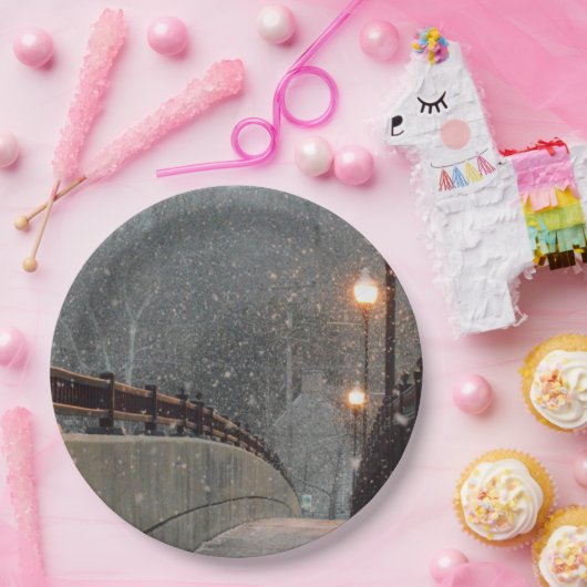 Wintertaufe 86 pappteller (Party)