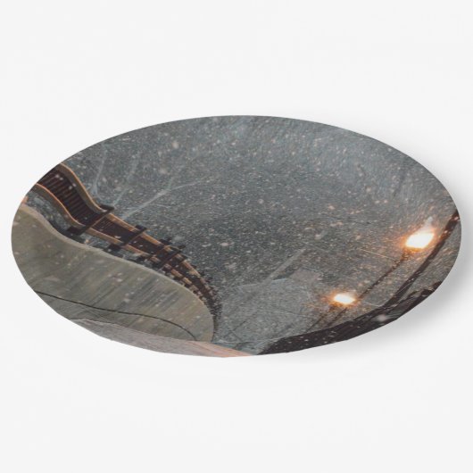 Wintertaufe 86 pappteller (Schrägansicht)