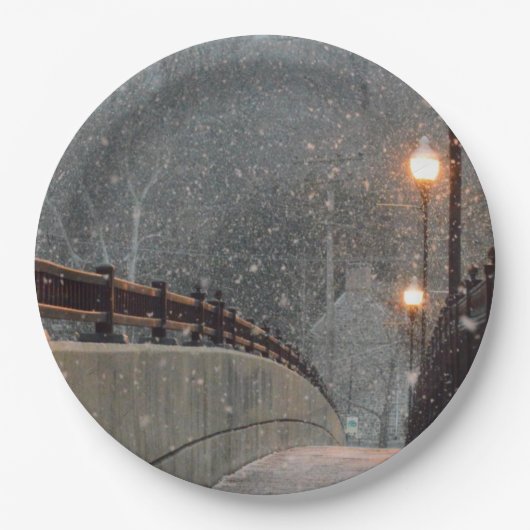 Wintertaufe 86 pappteller (Vorderseite)