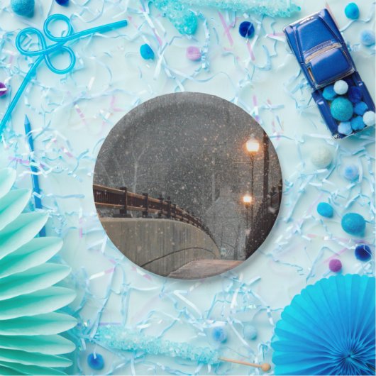 Wintertaufe 86 pappteller (Party)