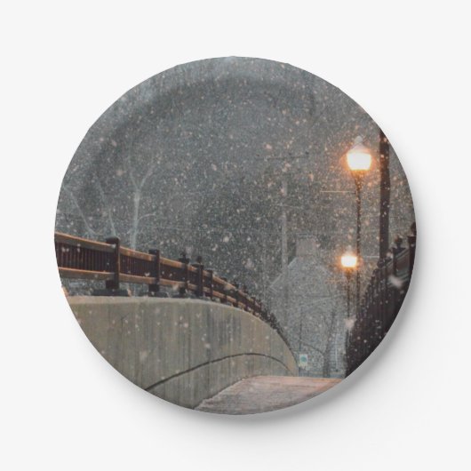 Wintertaufe 86 pappteller (Vorderseite)