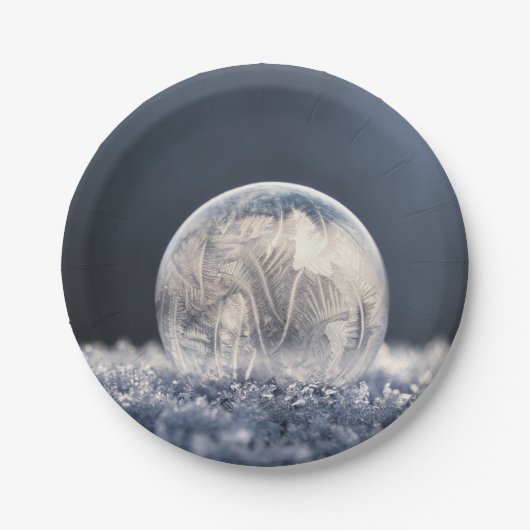 Wintertaufe 87 pappteller (Vorderseite)