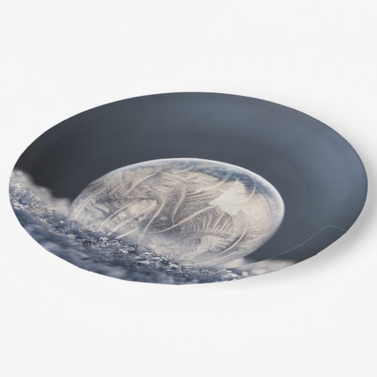 Wintertaufe 87 pappteller (Schrägansicht)