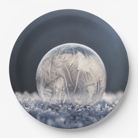 Wintertaufe 87 pappteller (Vorderseite)