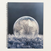 Wintertaufe 87 planer (Vorderseite)