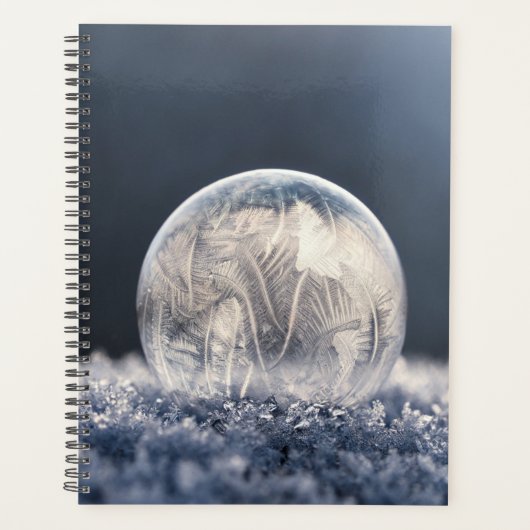 Wintertaufe 87 planer (Vorderseite)