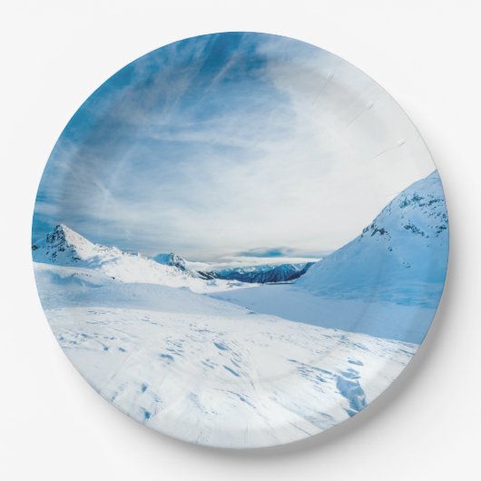 Wintertaufe 88 pappteller (Vorderseite)