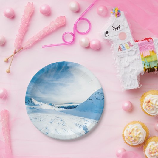 Wintertaufe 88 pappteller (Party)