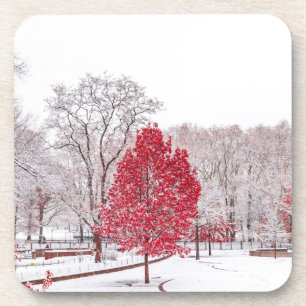 Wintertaufe 89 getränkeuntersetzer