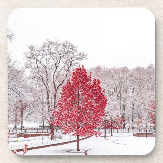 Wintertaufe 89 getränkeuntersetzer (Vorderseite)