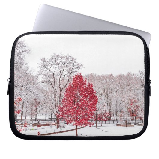 Wintertaufe 89 laptopschutzhülle (Vorderseite)