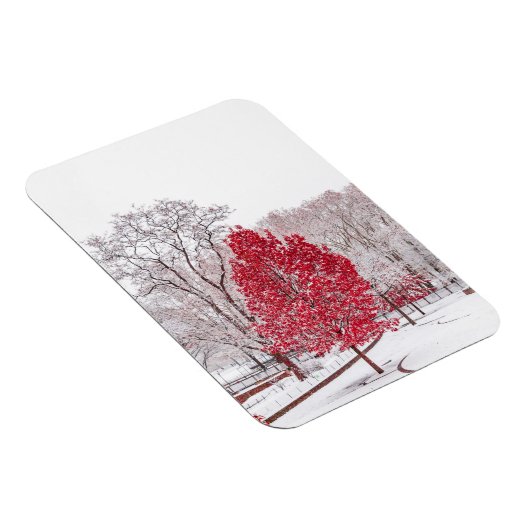 Wintertaufe 89 magnet (Rechte Seite)