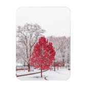 Wintertaufe 89 magnet (Vertikal)