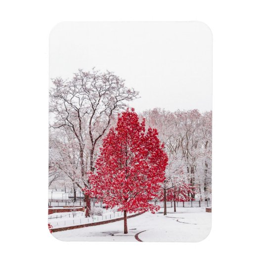 Wintertaufe 89 magnet (Vertikal)