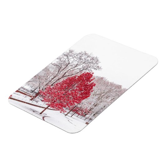 Wintertaufe 89 magnet (Linke Seite)