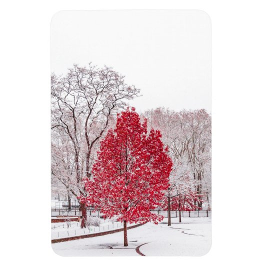 Wintertaufe 89 magnet (Vertikal)