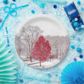 Wintertaufe 89 pappteller (Party)