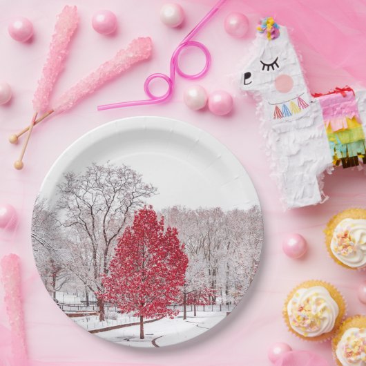 Wintertaufe 89 pappteller (Party)