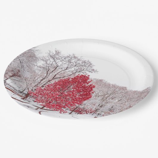 Wintertaufe 89 pappteller (Schrägansicht)