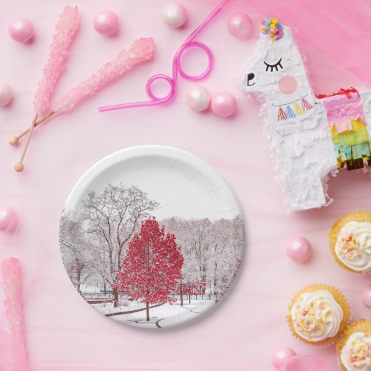 Wintertaufe 89 pappteller (Party)